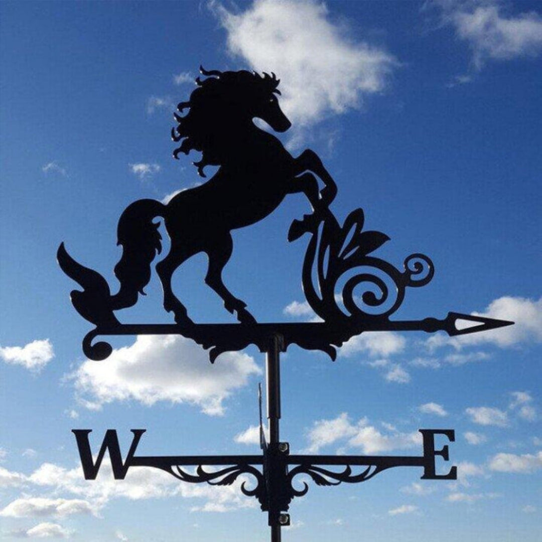 Weather Vane Garden Stainless Steel Weather-Resistant Outdoor Decoration Balcony Terrace Wind Direction Garden Accessory | Sansoti