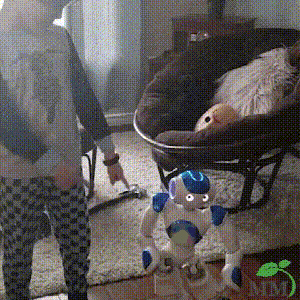 Interactive Learning Robot for Children with Gesture Control, Music, Dance Functions, Programmable, Educational | Sansoti