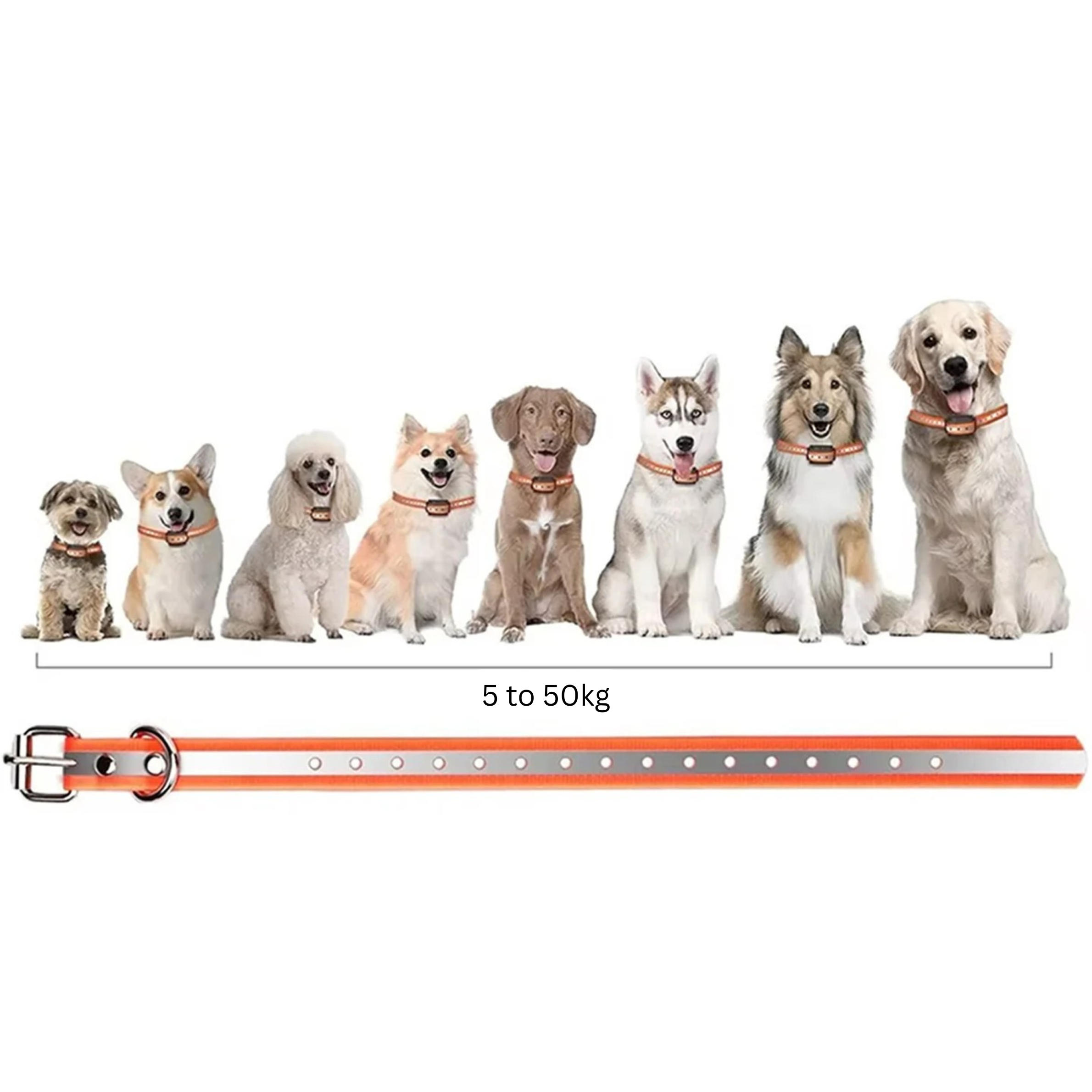 Trainingshalsband voor Honden met Afstandsbediening 1000m Bereik Oplaadbaar Waterdicht IP67 Verstelbaar 20-65cm Trillingen Geluid Stimulatie 9 Intensiteitsniveaus Geschikt 5-50kg | Sansoti