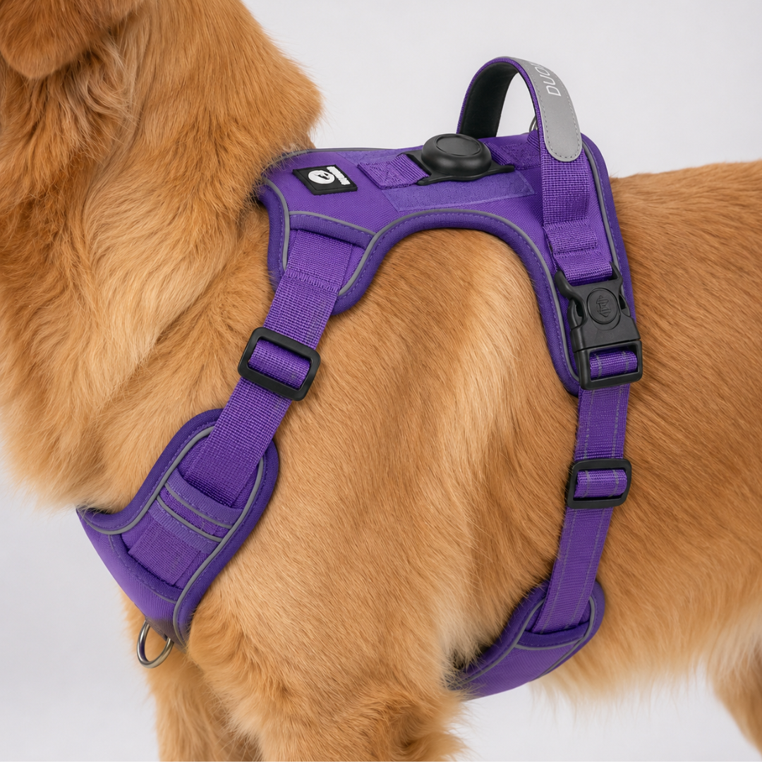 Adjustable No-Pull Dog Harness Chest Harness Reflective Comfortable Safe Walking Dog XS to XL | Sansoti