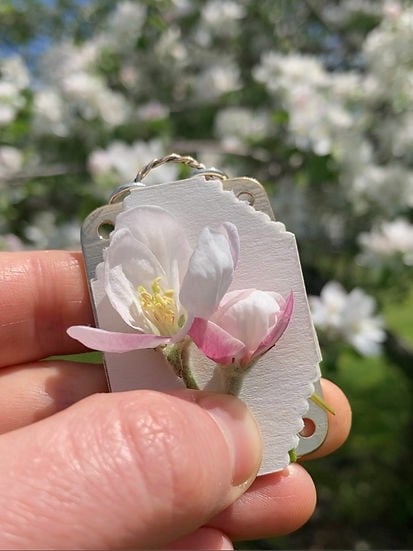 Mini Bloemenpers Compacte Botanische Droogpers Draagbare Herbarium Pers Natuurlijke Bladeren Bewaren | Sansoti