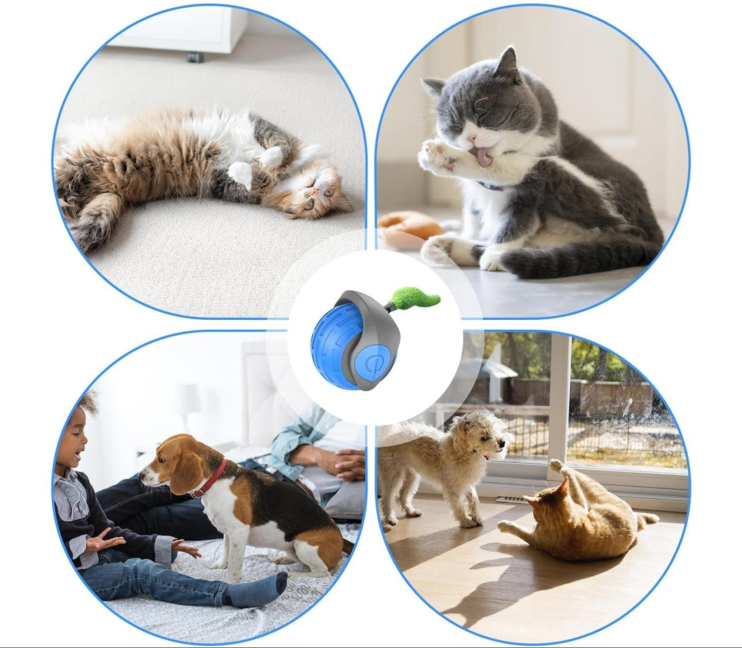 Interactieve Kattenspeelbal met Bewegingssensor en Veer – Autonoom Speelgoed | Sansoti