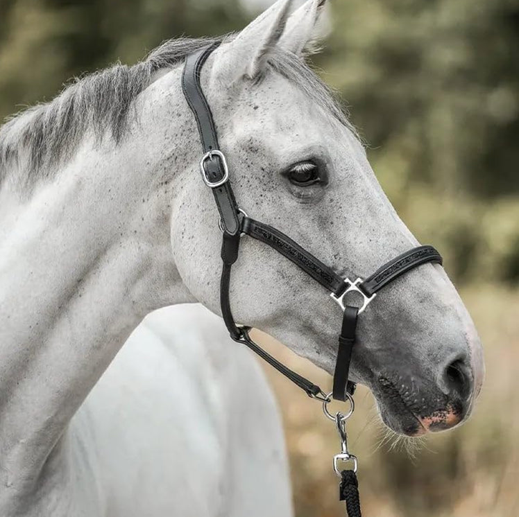 Adventskalender Paarden 24 Verrassingen Ruiter Paard Verzorging Accessoires Feestdagen Kerst December | Sansoti