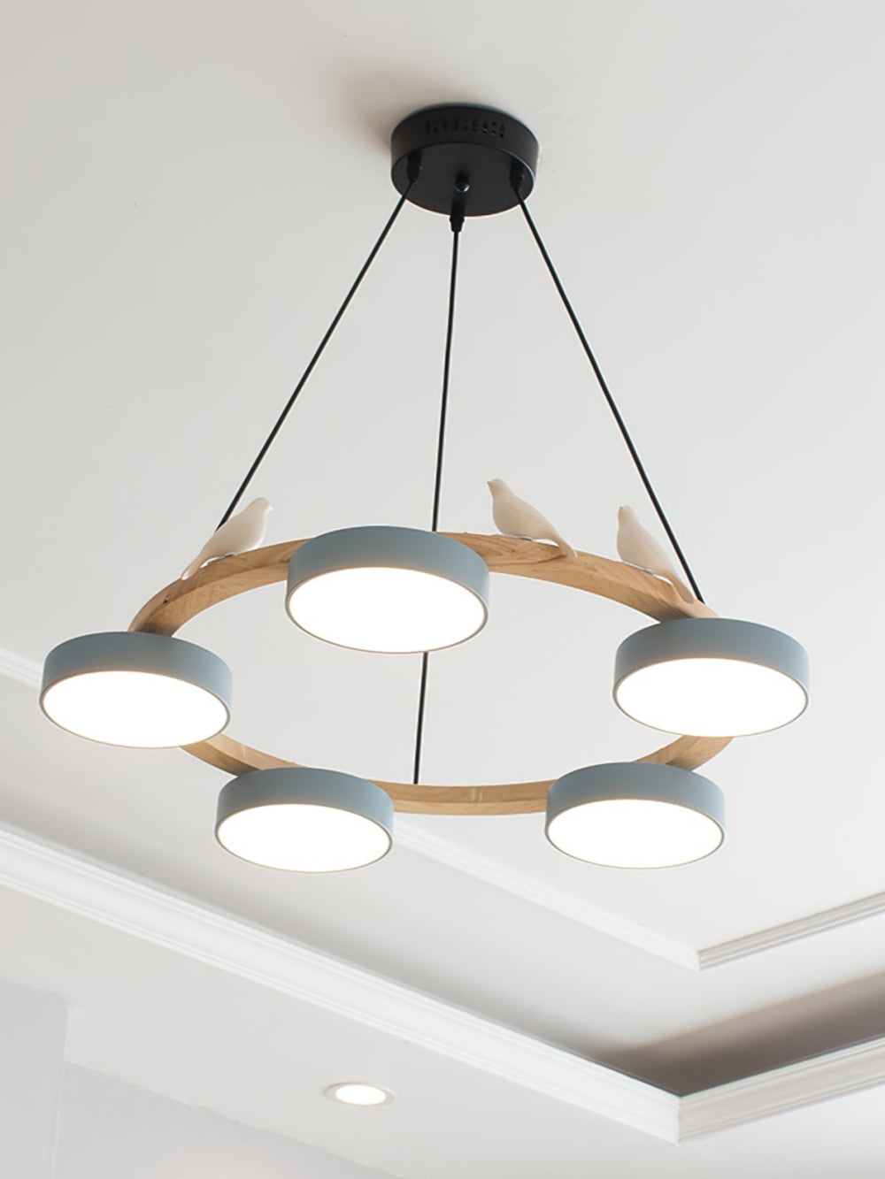 Decoratieve Vogelkroonluchter met Gekleurde Cirkels voor Eetkamer en Woonkamer | Sansoti