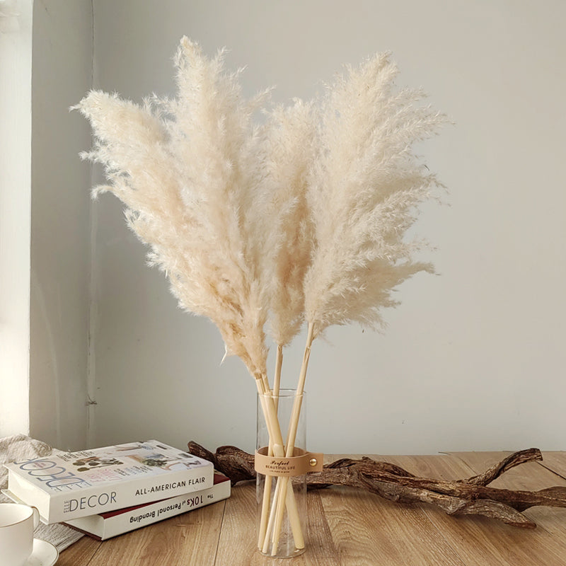 Gedroogde Pampas Pluimen 10 Stuks Natuurlijk Gras Decoratieve Droogbloemen voor Woonkamer Slaapkamer | Sansoti