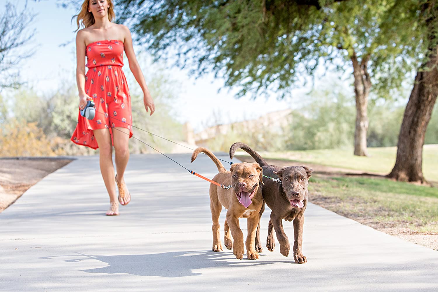 Hondenriem voor Twee Honden met 360° Antiklit Systeem 3 Meter Reflecterend | Sansoti