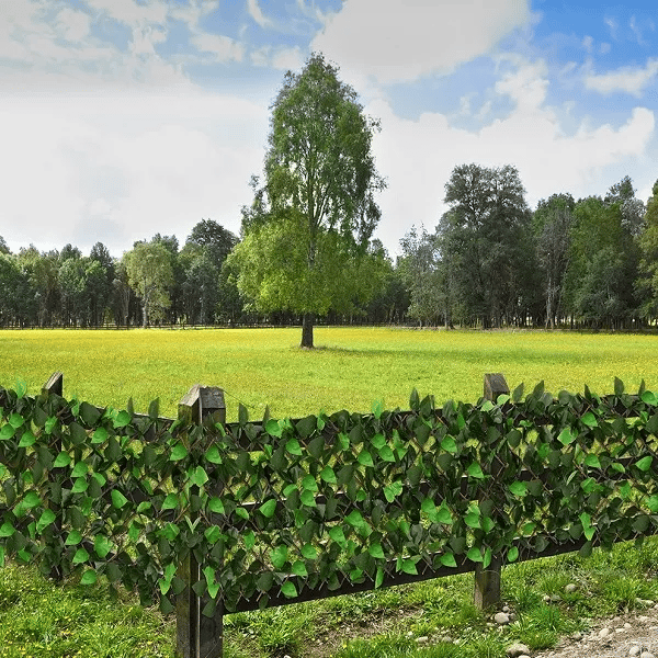 Kunstklimop Haag Uitschuifbare Tuinafscheiding Privacy Scherm Groen Bladerdek Flexibel 300x50cm | Sansoti