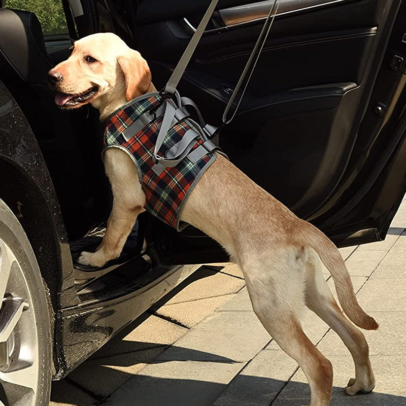 Orthopedisch Hondenharnas voor Voor- en Achterpoten - Draagbare Loophulp met Verstelbare Riemen voor Honden met Gewrichtsproblemen | Sansoti