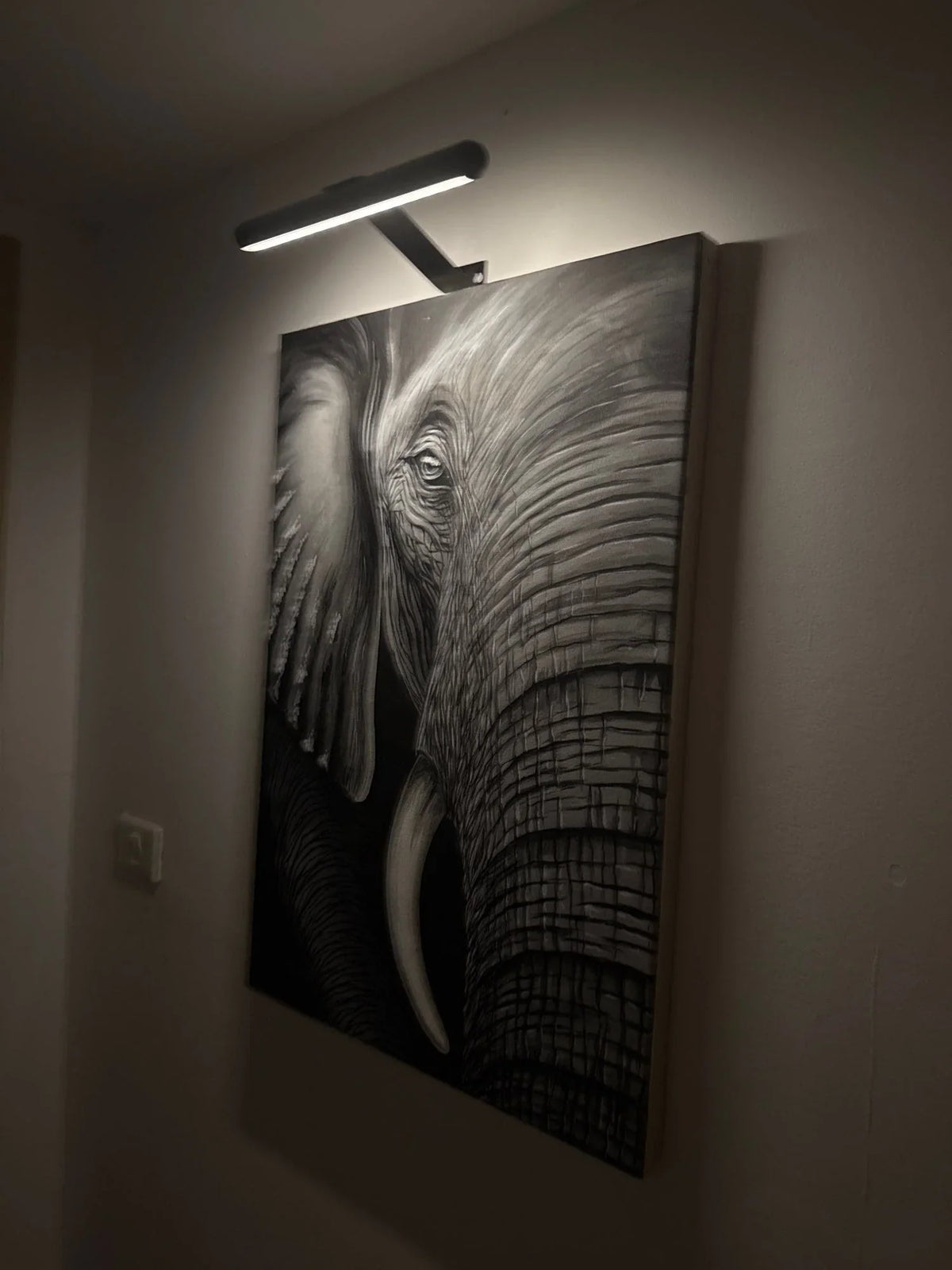Wireless LED Wall Light Dimmable 360° Adjustable for Art Paintings and Photos Black White Gold Accent Lighting | Sansoti