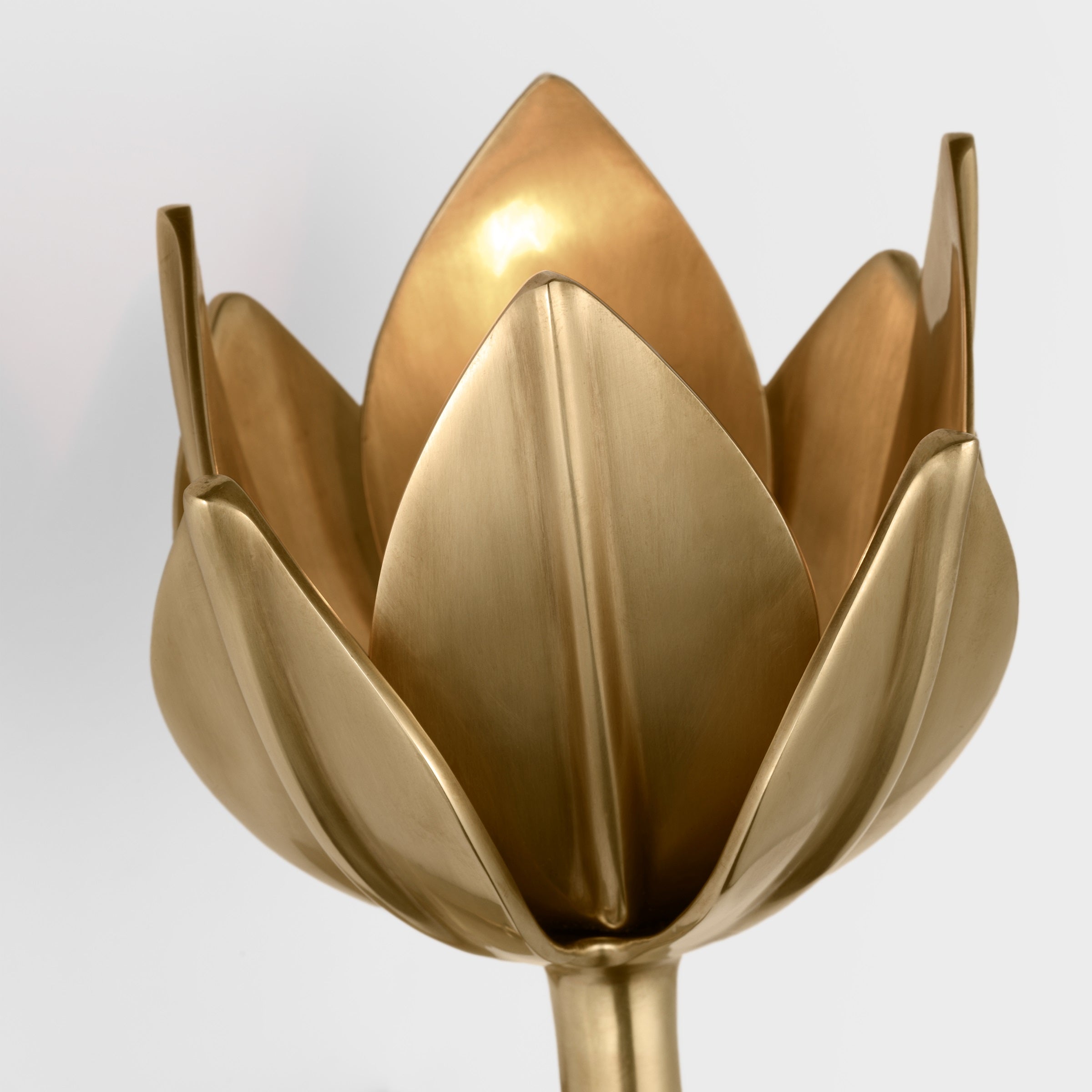 Design Wandlamp met Bloemvorm in Messing en Gips – Artistieke Wandverlichting Geïnspireerd op Giacometti voor Woonkamer en Hal | Sansoti