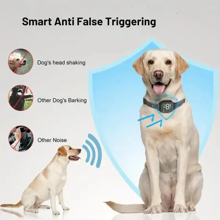 Smart Dog Training Collar with Touchscreen Control Adjustable Waterproof for Small and Large Dogs | Sansoti