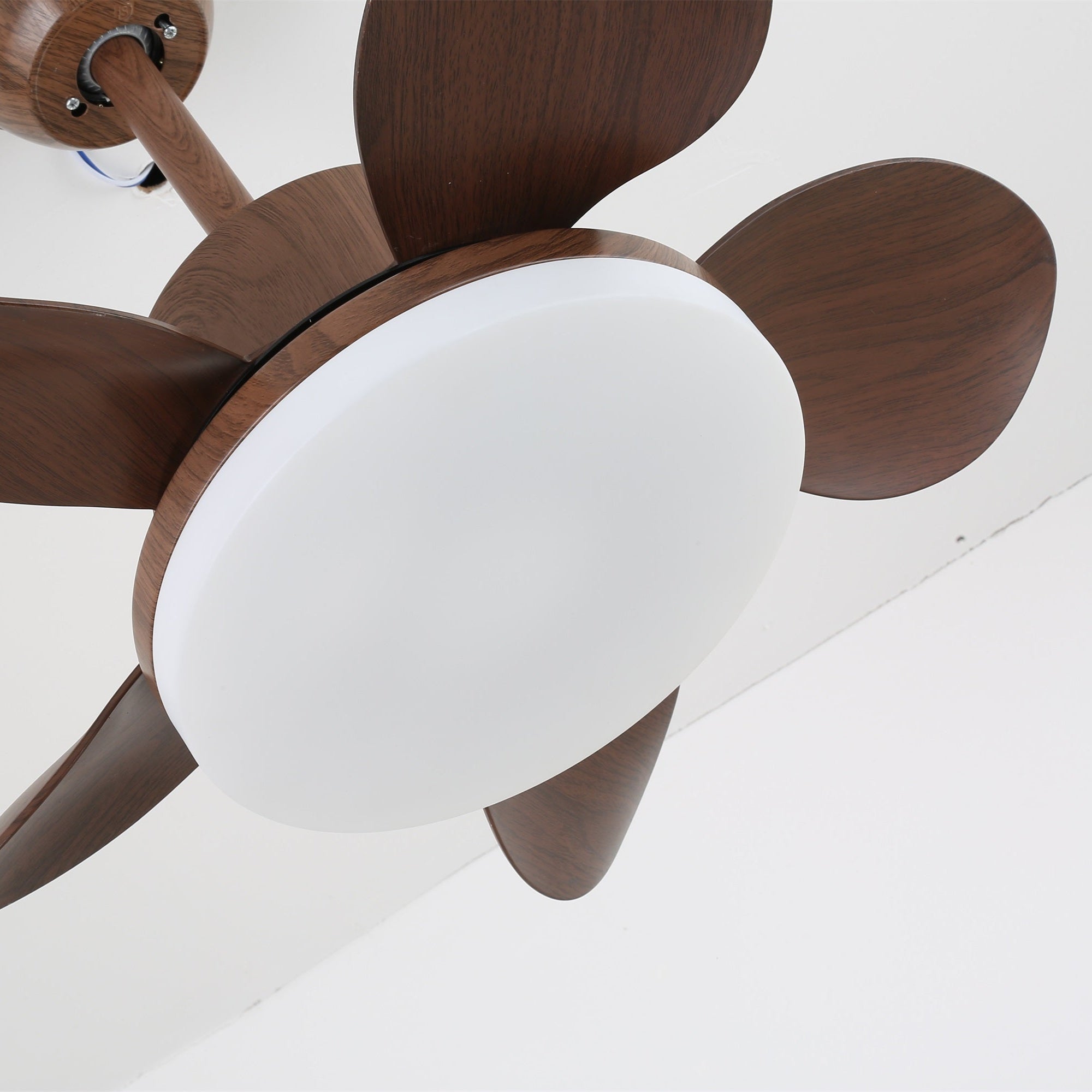 Plafondventilator Alenya met Houtlook en Geïntegreerde Verlichting Ø55cm 48W Grijsbruine Bladeren voor Alle Seizoenen | Sansoti
