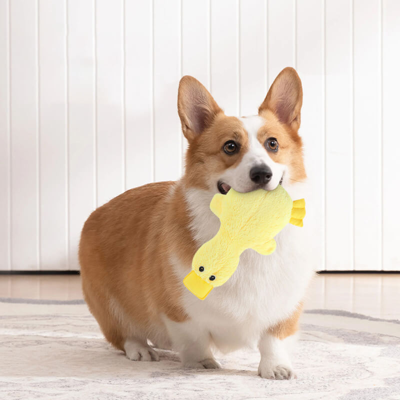 Pluche Eendje Hondenspeelgoed met Pieper Knuffelvriend Zachte Hondenkuuffel Interactief Speelgoed voor Honden | Sansoti