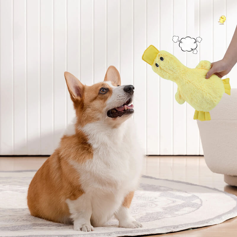Pluche Eendje Hondenspeelgoed met Pieper Knuffelvriend Zachte Hondenkuuffel Interactief Speelgoed voor Honden | Sansoti