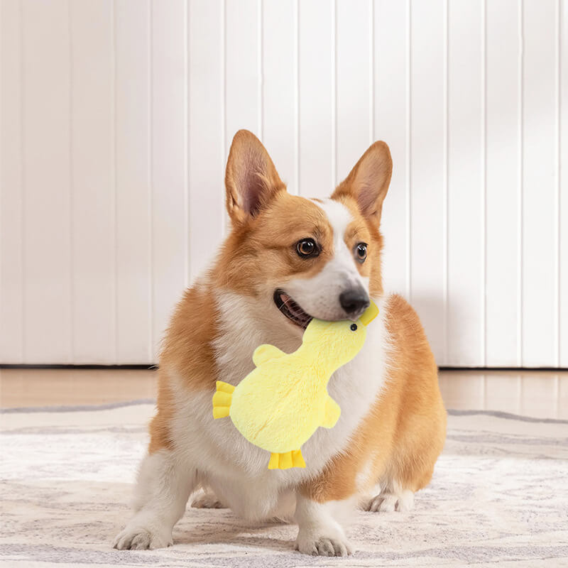 Pluche Eendje Hondenspeelgoed met Pieper Knuffelvriend Zachte Hondenkuuffel Interactief Speelgoed voor Honden | Sansoti