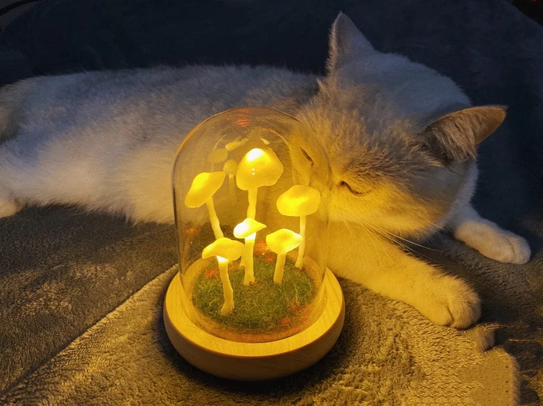 DIY-Pilzlampe aus Glas und Holz – Magische stimmungsvolle Tischleuchte in Warmweiß, dekorativ für Wohn- und Schlafzimmer | Sansoti