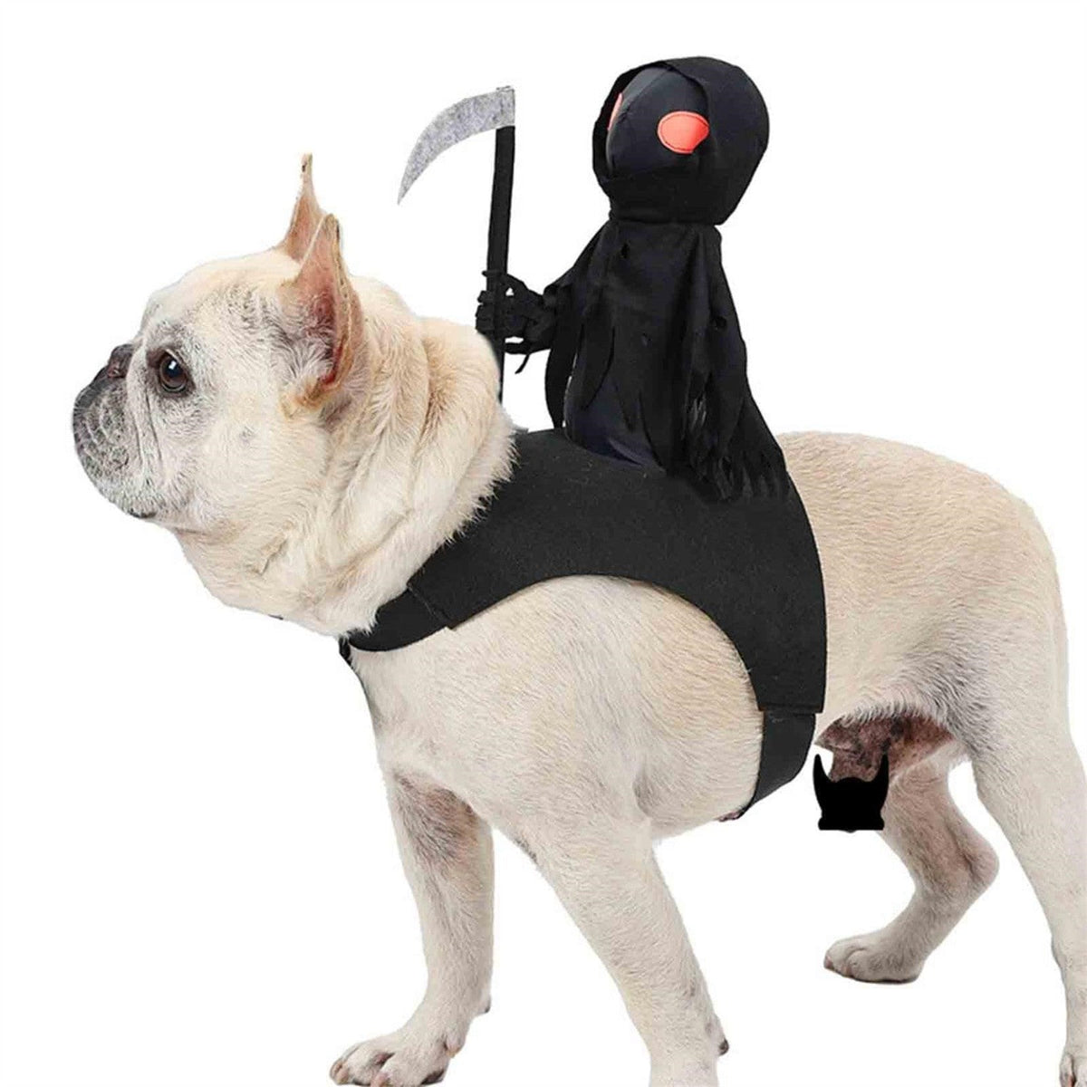 Skeleton Dog Costume Black - Funny Party Outfit for Medium and Large Dogs Halloween Costume | Sansoti