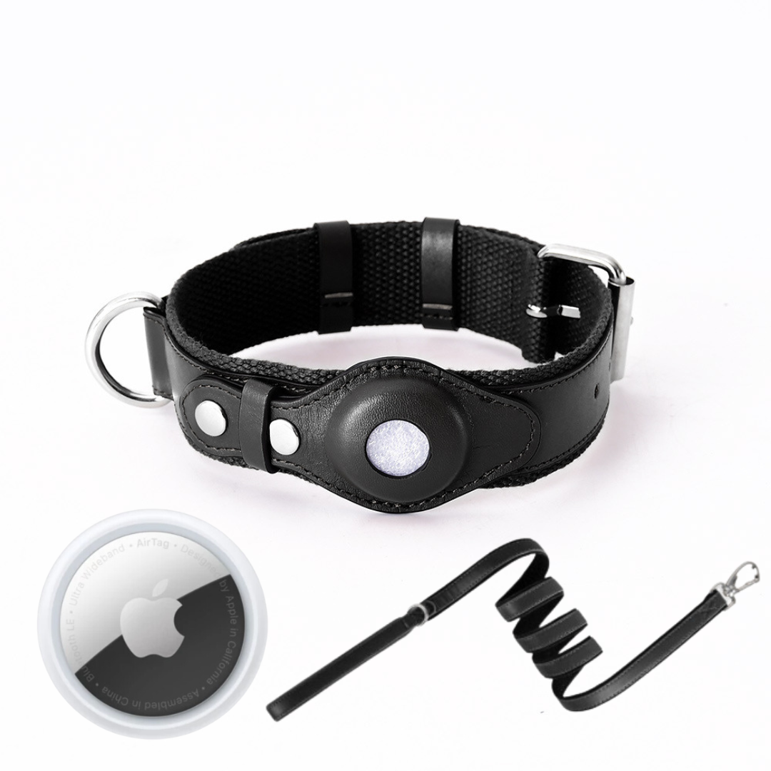 GPS-hondenhalsband met wereldwijde tracking zonder abonnement voor veilige wandelingen en volledige controle over je hond | Sansoti
