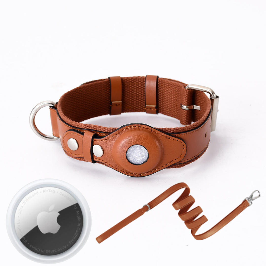 GPS-hondenhalsband met wereldwijde tracking zonder abonnement voor veilige wandelingen en volledige controle over je hond | Sansoti