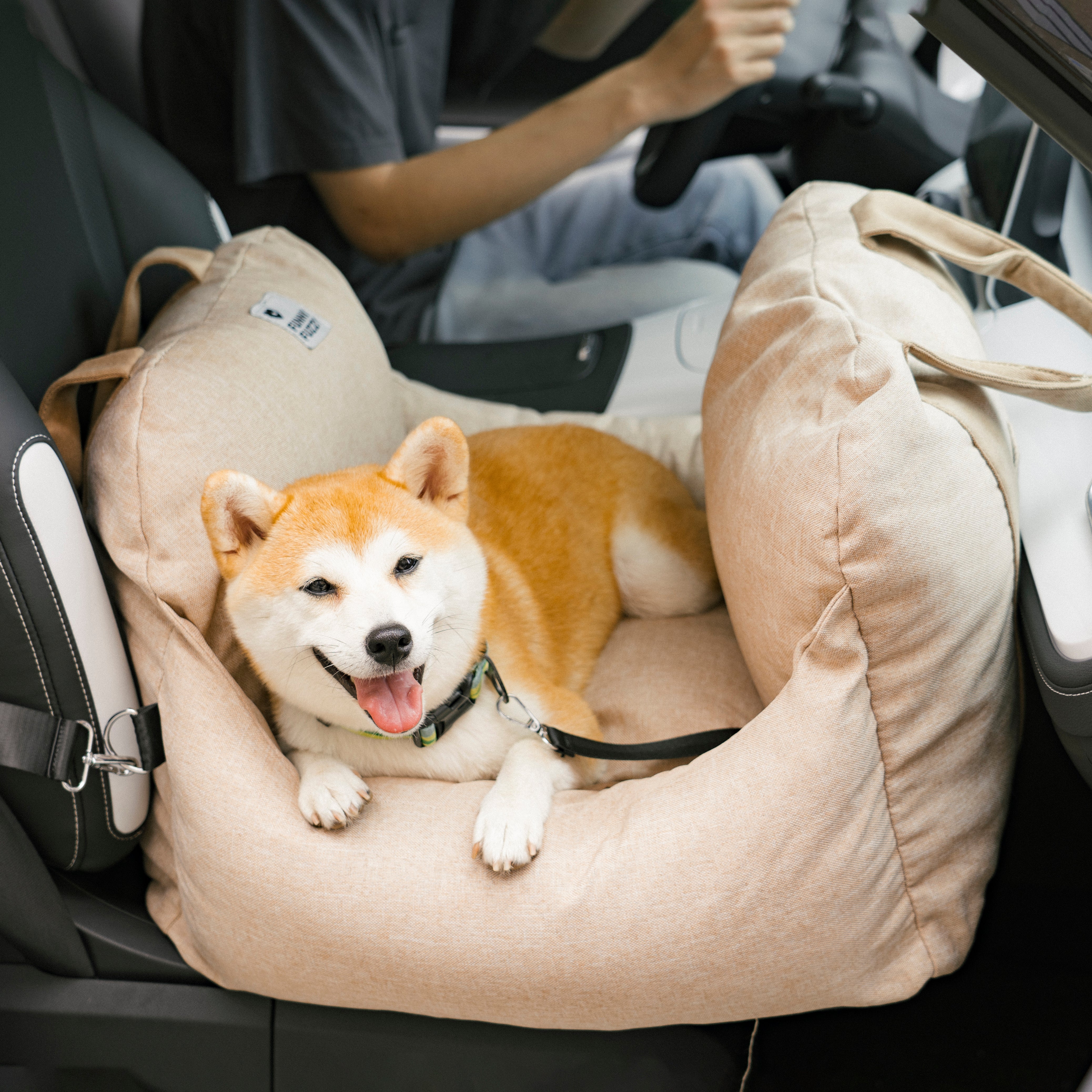Autostoel Hondenmand First Class - Comfortabel Reiskussen voor Hond of Kat - Verstelbaar Wasbaar Autoreizen | Sansoti