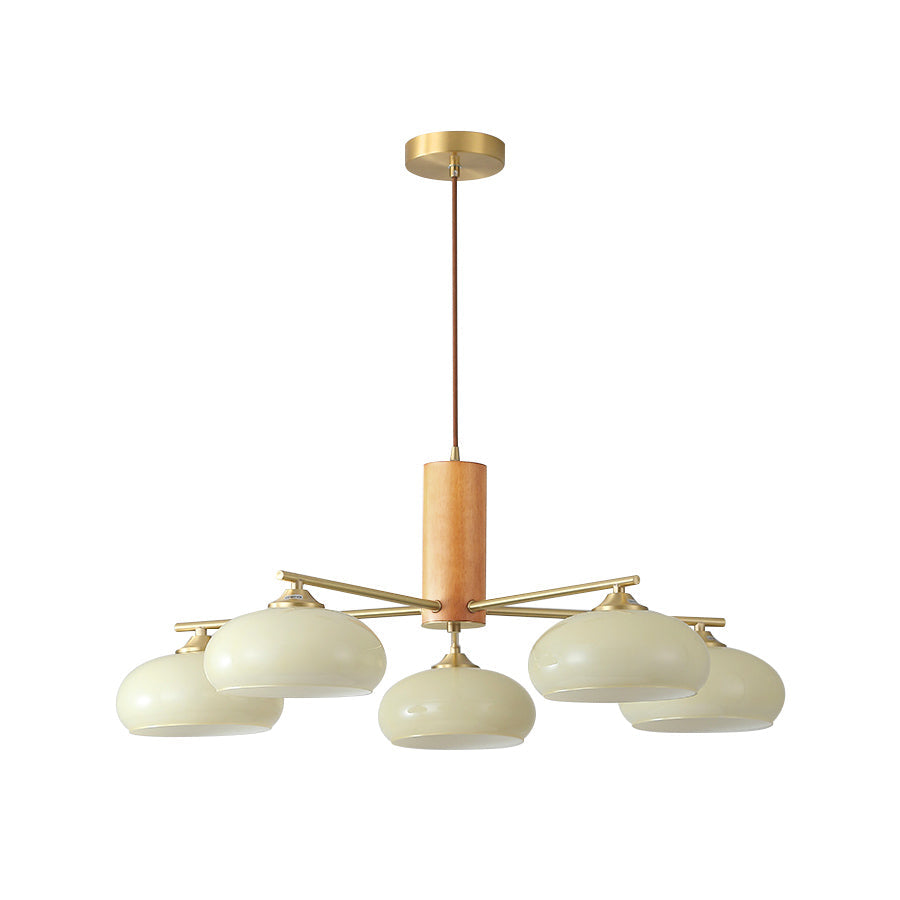Ovale Design Kroonluchter Met Glazen Kappen En Messing Details Voor Woonkamer En Eetkamer | Sansoti