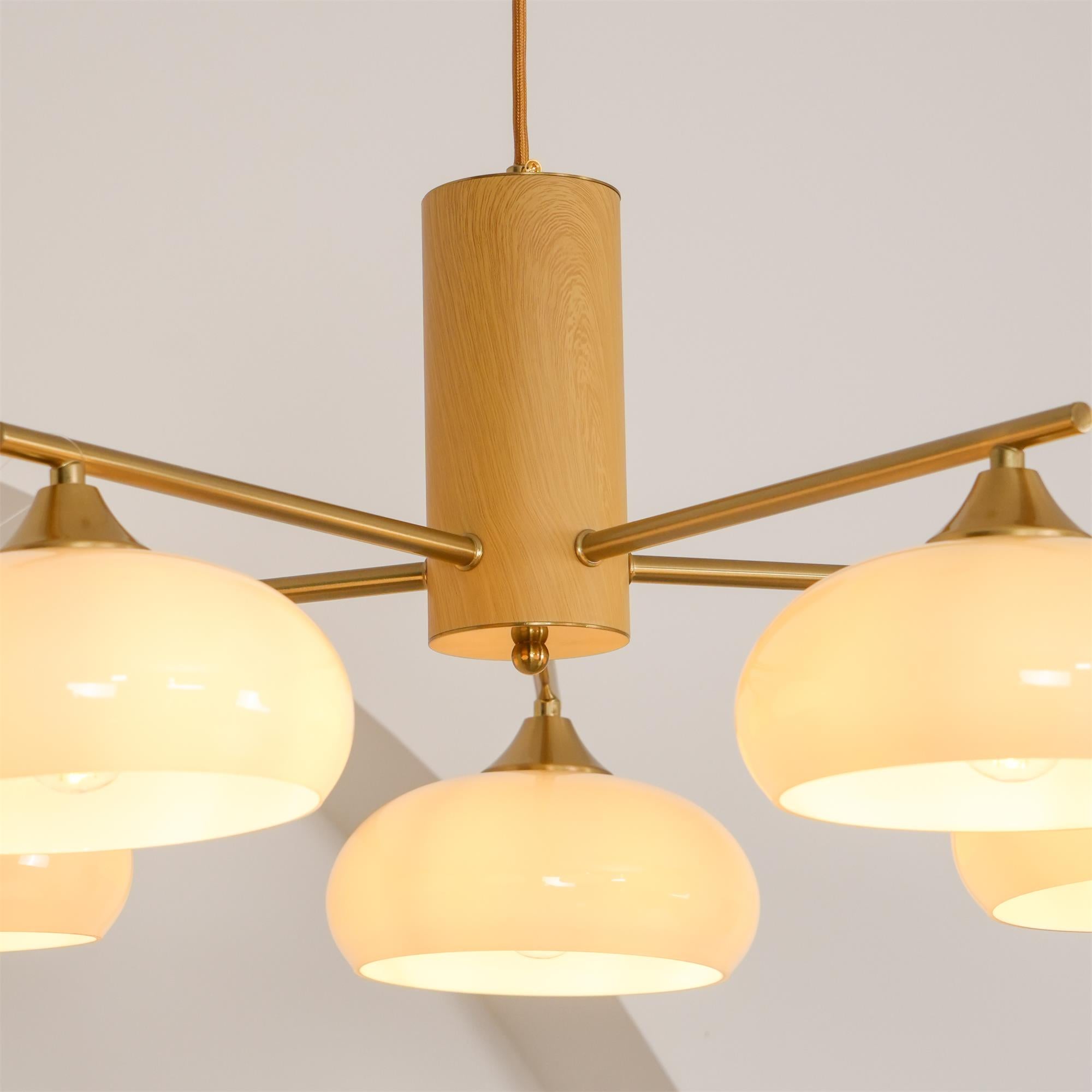 Ovale Design Kroonluchter Met Glazen Kappen En Messing Details Voor Woonkamer En Eetkamer | Sansoti