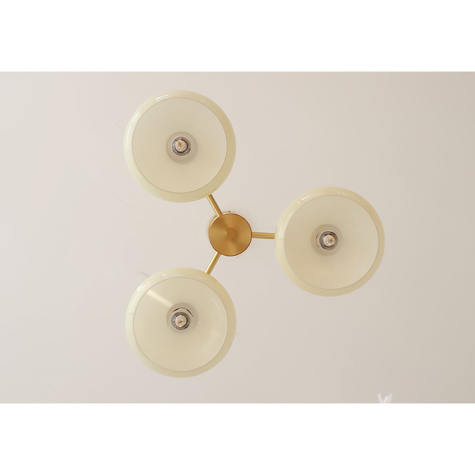 Ovale Design Kroonluchter Met Glazen Kappen En Messing Details Voor Woonkamer En Eetkamer | Sansoti