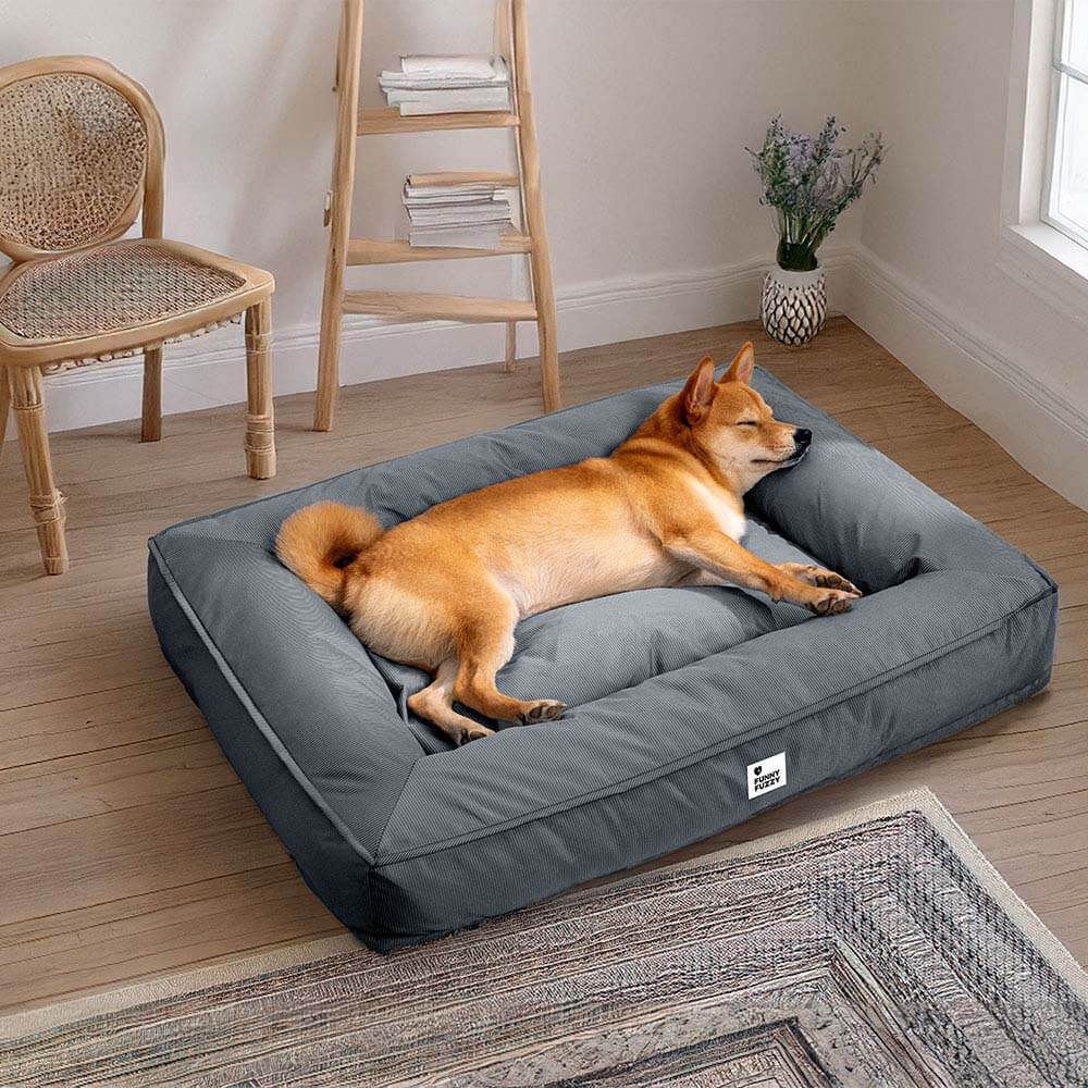 Orthopedisch Hondenkussen Volledig Ondersteunend Waterafstotend Bed Groot Steungevend Comfortabel Voor Honden | Sansoti
