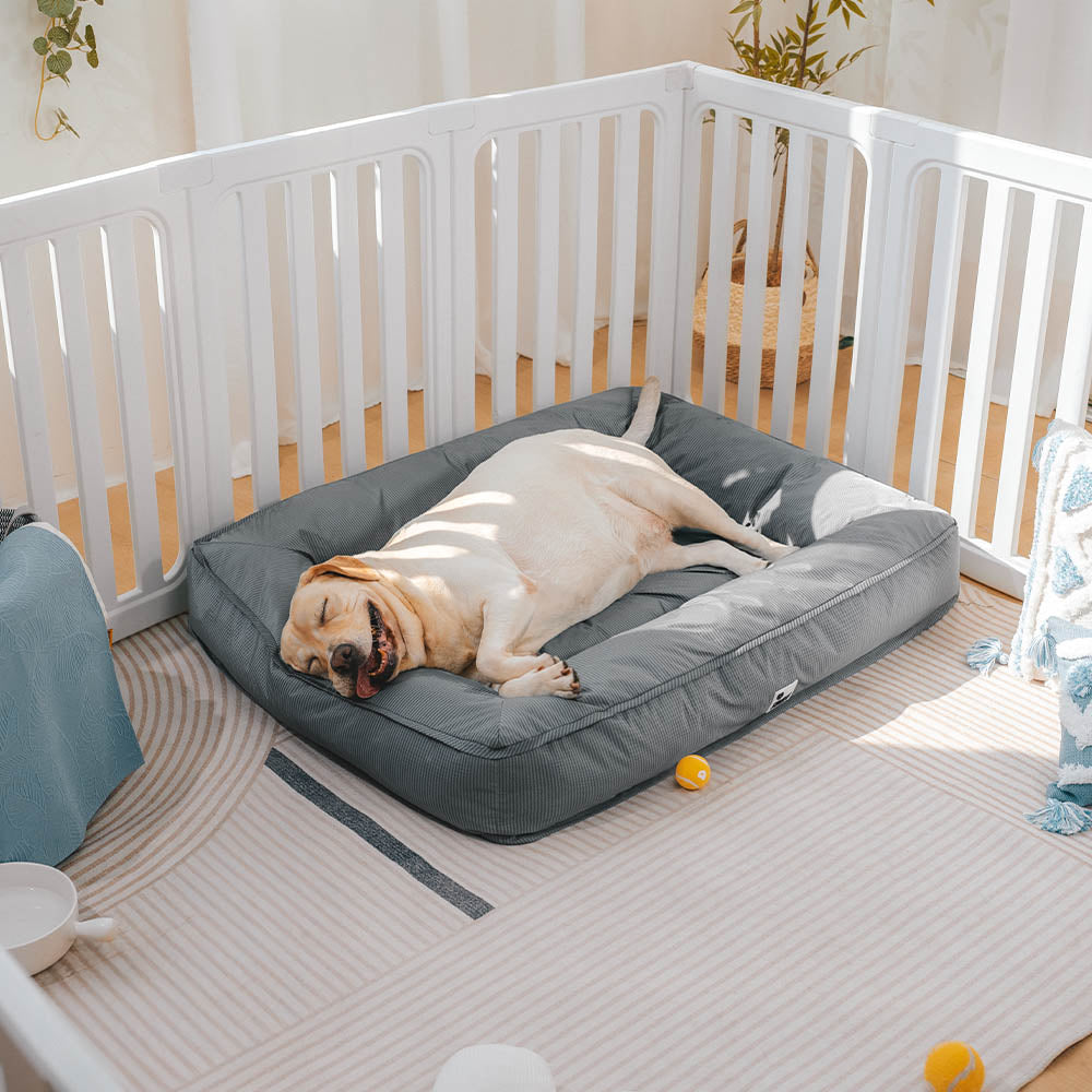 Orthopedisch Hondenkussen Volledig Ondersteunend Waterafstotend Bed Groot Steungevend Comfortabel Voor Honden | Sansoti