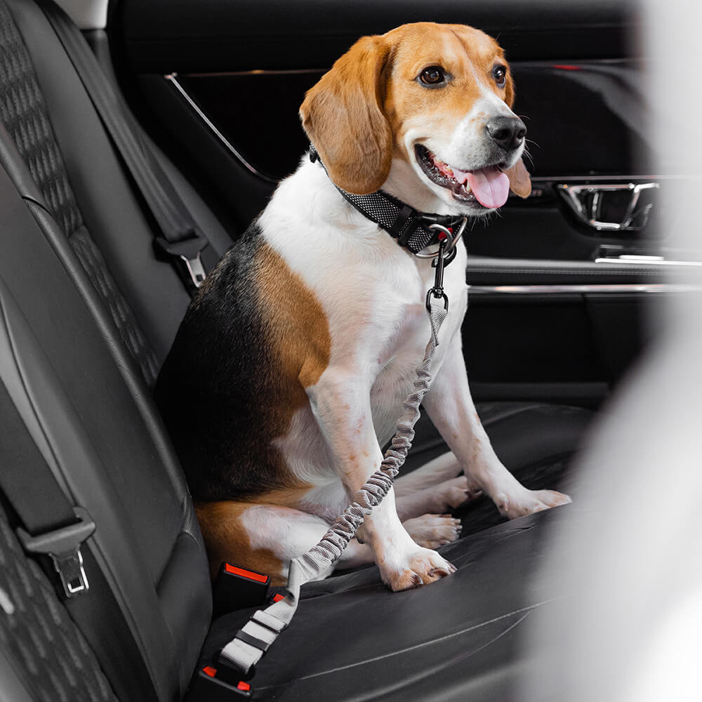 Autogordel Buffer Verstelbaar Hondenhalsband Tuigje Veiligheid Auto Reizen Reflecterend Huisdier Hond | Sansoti