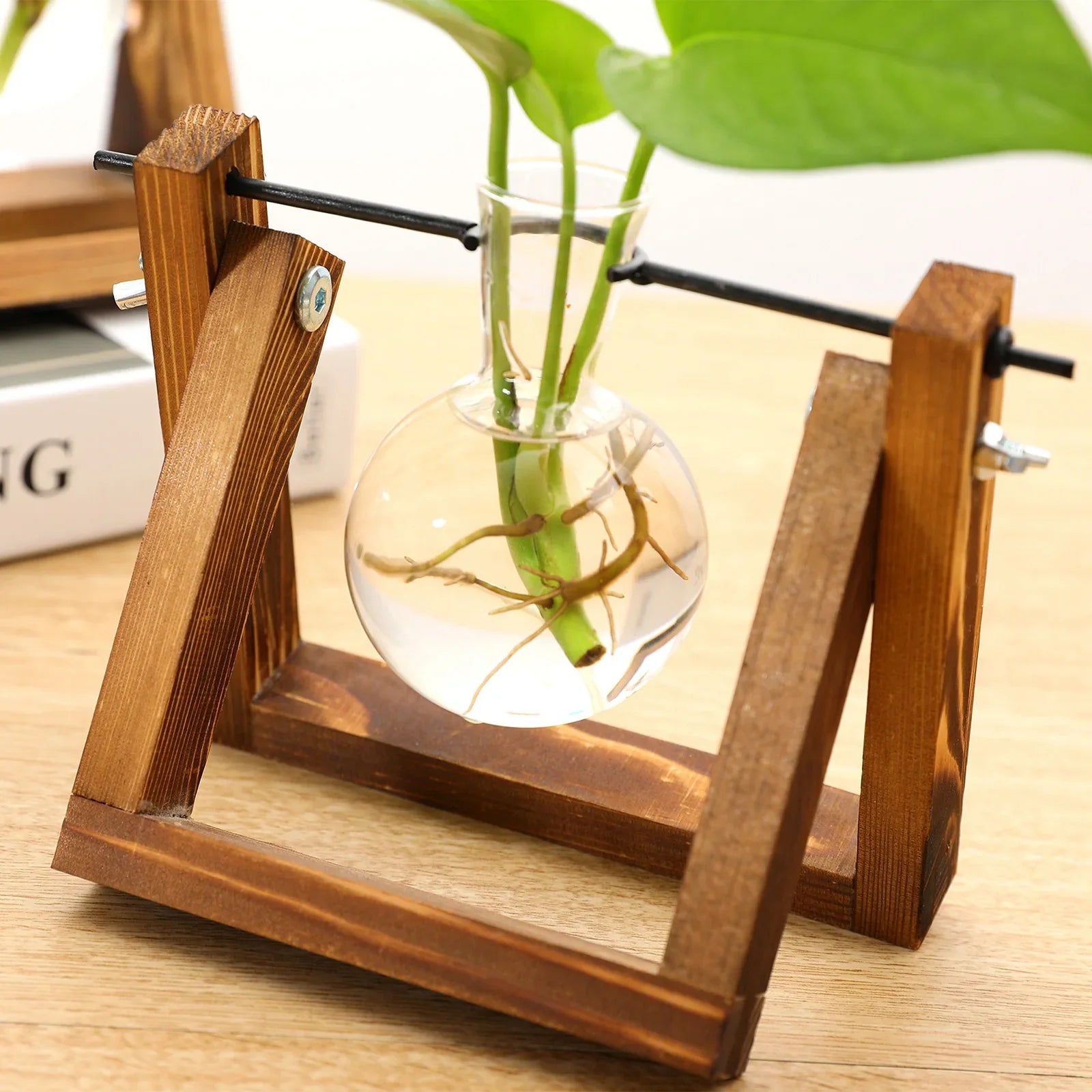 Plantenpropagator Standaard Hout & Glas Stekhouder Vintage Stijl voor Kamerplanten | Sansoti