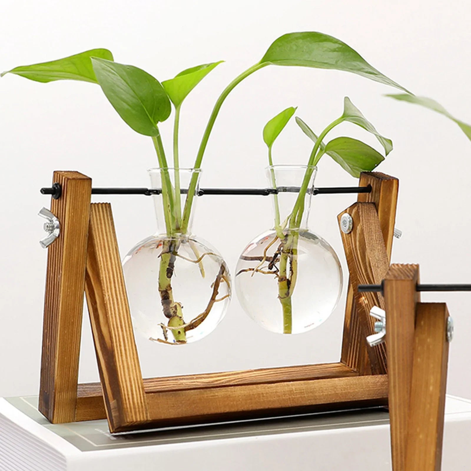 Plantenpropagator Standaard Hout & Glas Stekhouder Vintage Stijl voor Kamerplanten | Sansoti