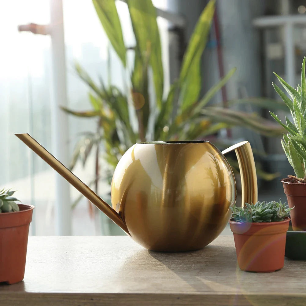Minimalistische Plantengieter Ø 29 cm Roestvrij Staal voor Interieurplanten 1500 ml | Sansoti