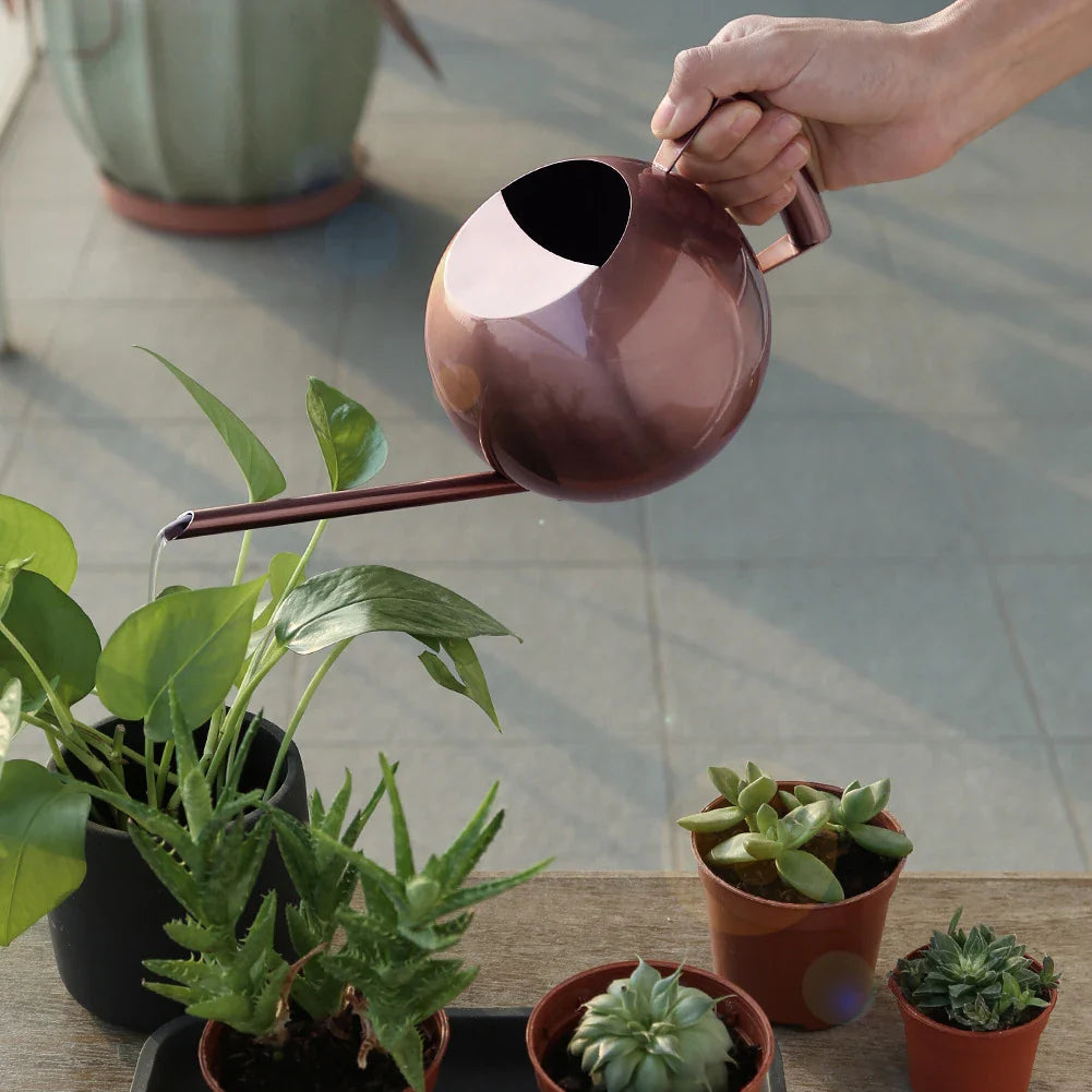 Minimalistische Plantengieter Ø 29 cm Roestvrij Staal voor Interieurplanten 1500 ml | Sansoti