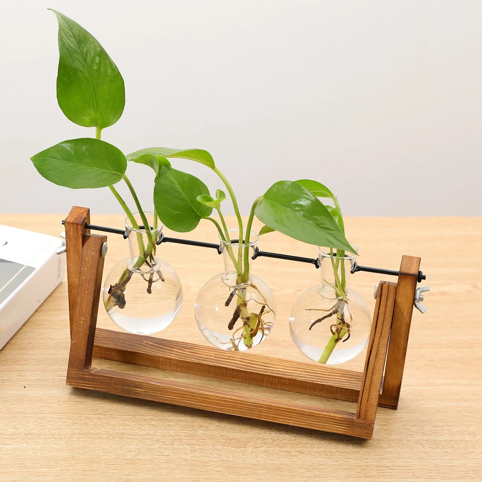 Plantenpropagator Standaard Hout & Glas Stekhouder Vintage Stijl voor Kamerplanten | Sansoti