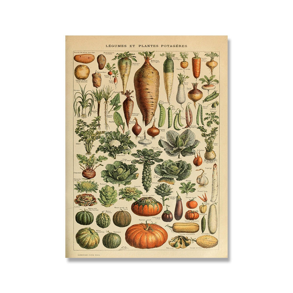 Vintage Botanische Prints Canvas Collectie – Klassieke Plantentekeningen Wanddecoratie | Sansoti
