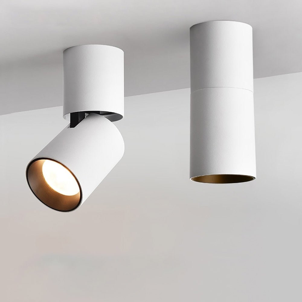Verstelbare Opbouw Plafondspot Rond LED Dimbaar Zwart Wit Richtbare Downlight Aluminium voor Woonkamer | Sansoti
