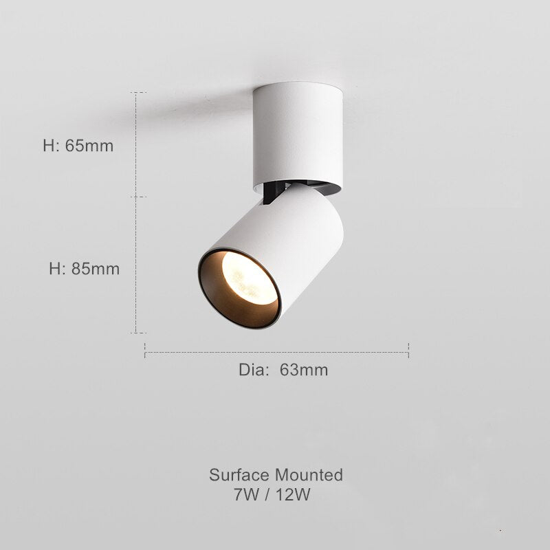 Verstelbare Opbouw Plafondspot Rond LED Dimbaar Zwart Wit Richtbare Downlight Aluminium voor Woonkamer | Sansoti