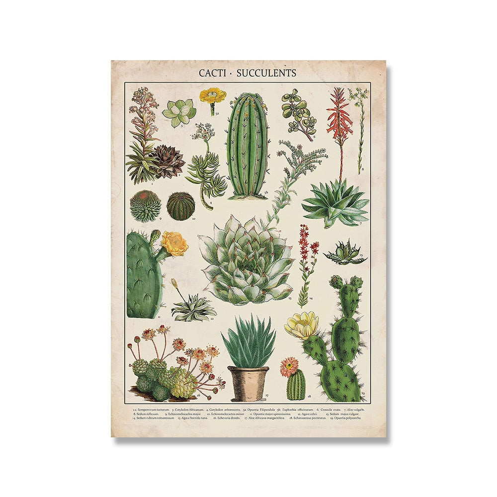 Vintage Botanische Prints Canvas Collectie – Klassieke Plantentekeningen Wanddecoratie | Sansoti