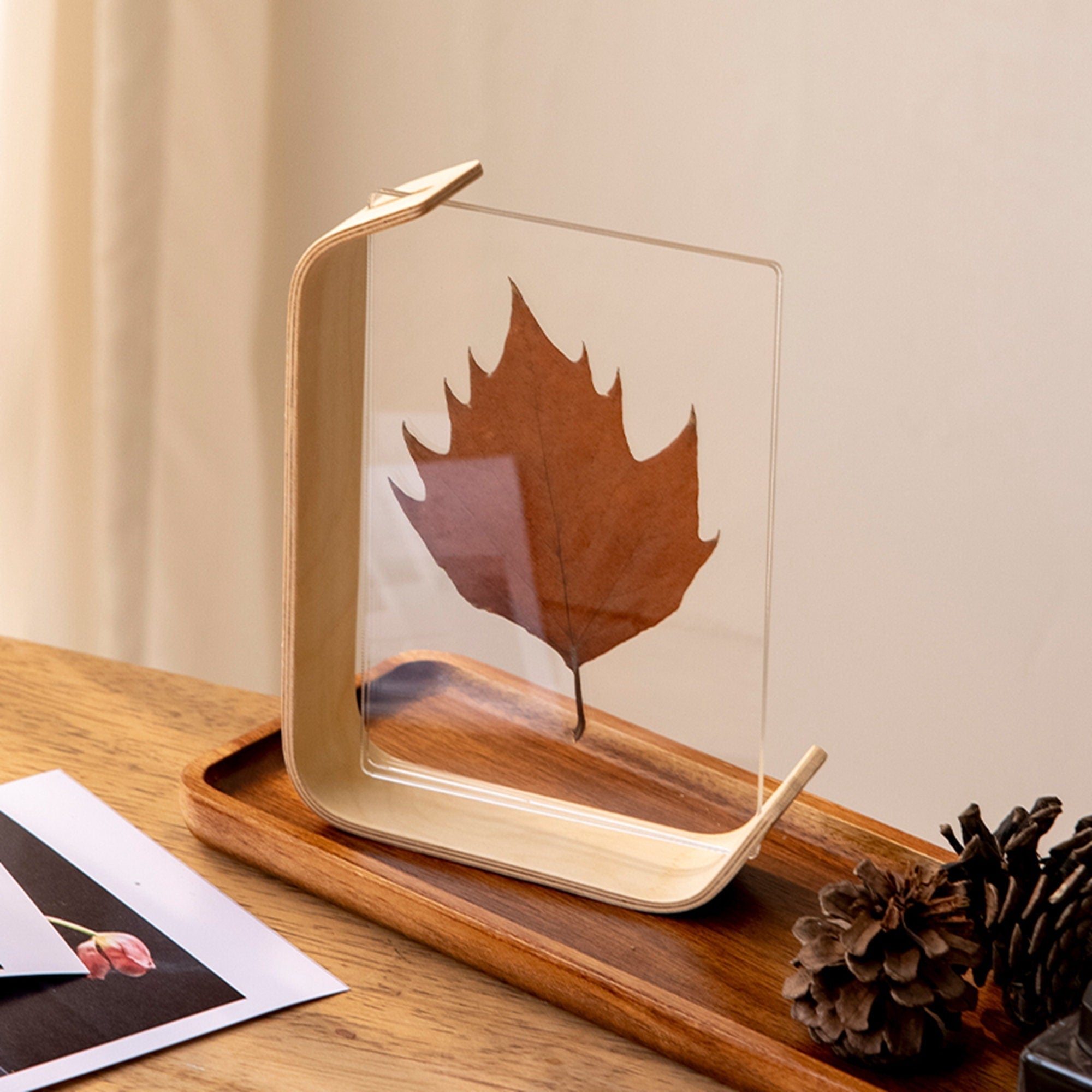 Houten Fotolijst met Dubbel Glas – Elegant Walnoot of Beuken Design voor 10x15 en 13x18 cm Foto's | Sansoti