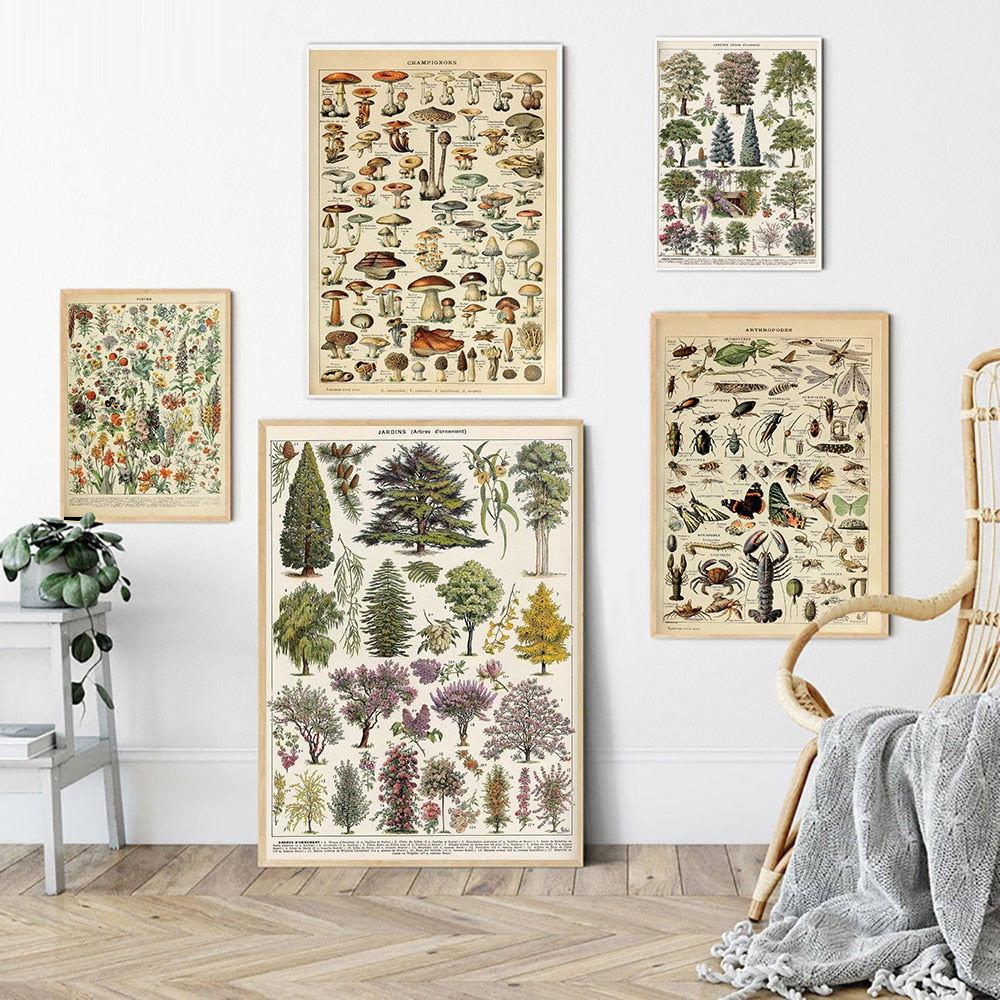 Vintage Botanische Prints Canvas Collectie – Klassieke Plantentekeningen Wanddecoratie | Sansoti