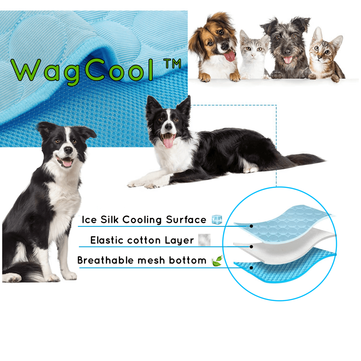 Tapis rafraîchissant pour animaux, refroidissement activé par pression, face glacée, chiens et chats, intérieur et extérieur, confort estival | Sansoti