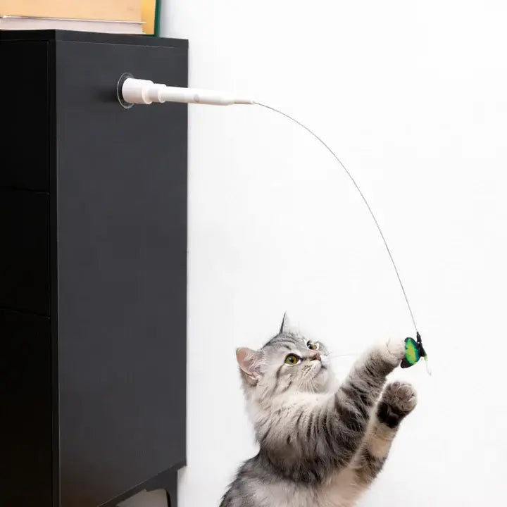 Elektrisch Vlinderspeeltje voor Katten – Interactief Jachtspel met Automatische Beweging voor Actieve Binnenkatten | Sansoti