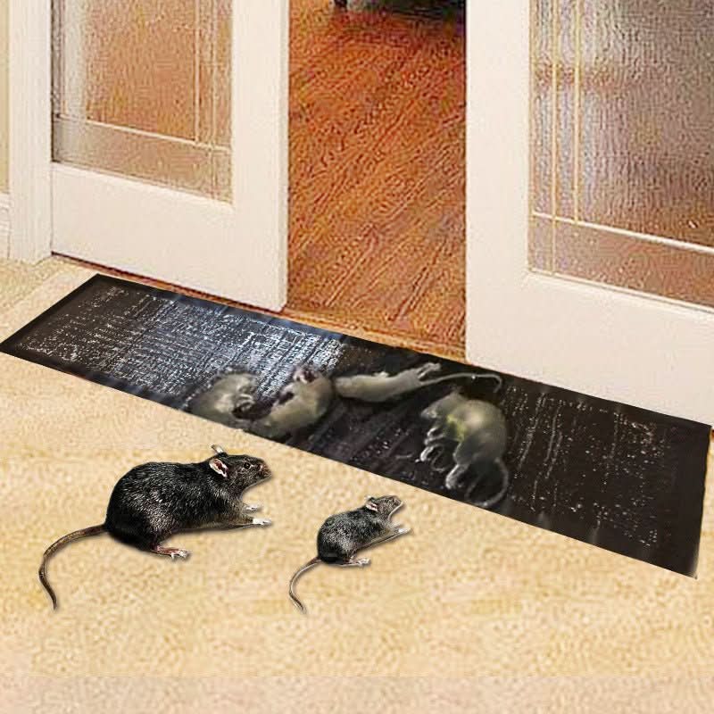 Professionele Plakvallen voor Muizen en Ratten - Giftvrij - 10 Stuks - Grote Vangoppervlakte voor Effectieve Ongediertebestrijding | Sansoti