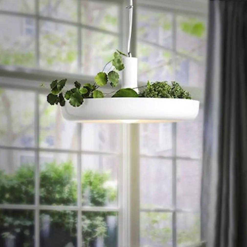 Scandinavische Hanglamp met Plantenbak – Decoratieve Lamp voor Binnenplanten – Moderne Verlichtingscombinatie | Sansoti