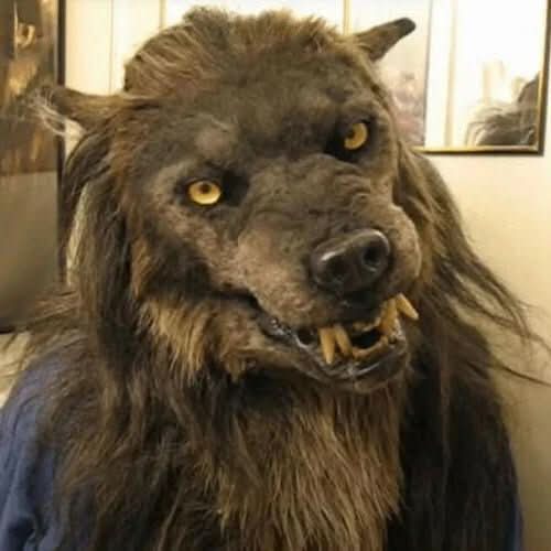 Realistisch Weerwolf Masker met Synthetisch Haar voor Halloween Carnaval Cosplay Verkleedfeesten Horror | Sansoti