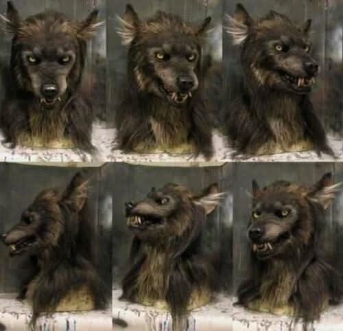 Realistisch Weerwolf Masker met Synthetisch Haar voor Halloween Carnaval Cosplay Verkleedfeesten Horror | Sansoti