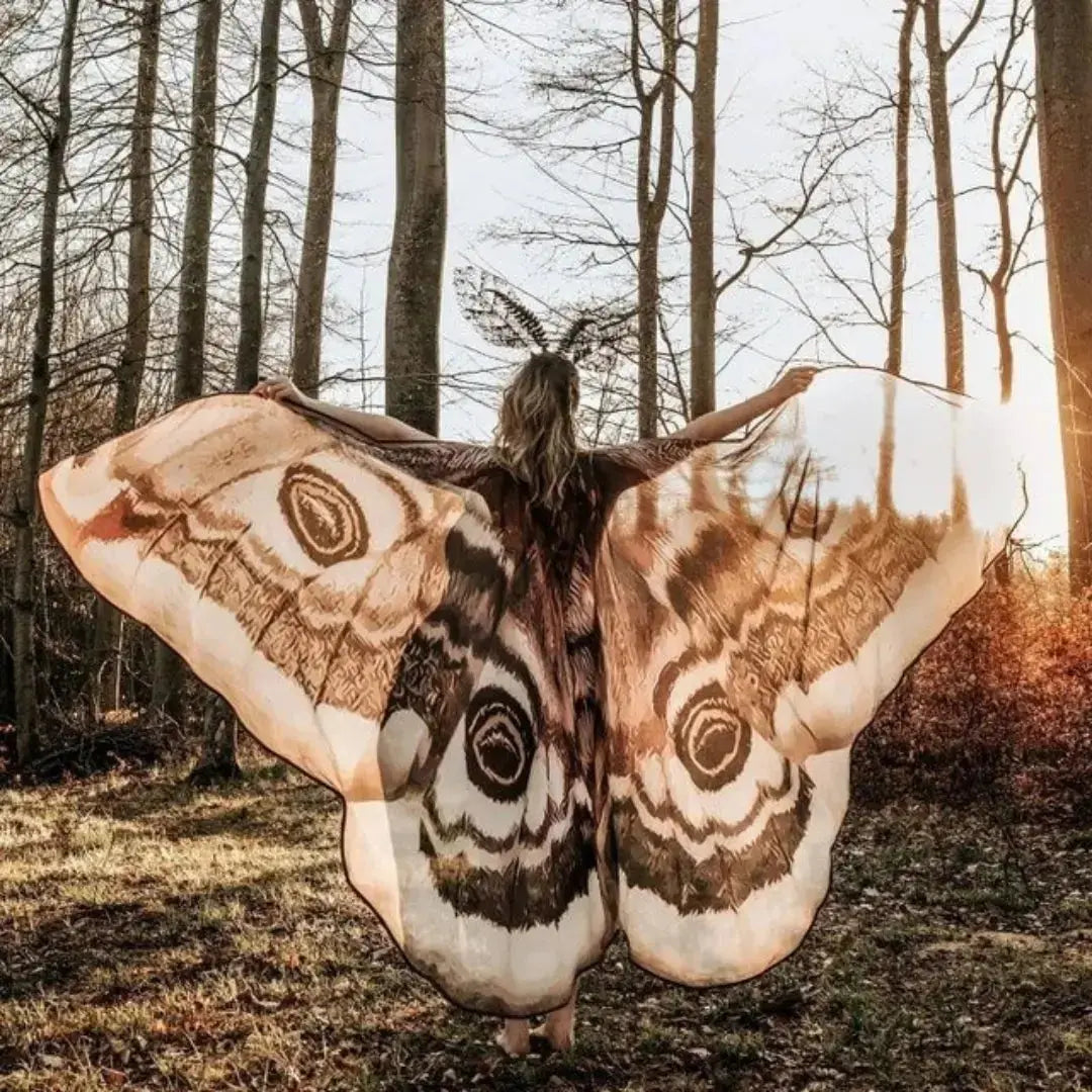 Nachtvlinder Cape Grey Moth – Elegante Vleugelomhang voor Creatieve Momenten | Sansoti