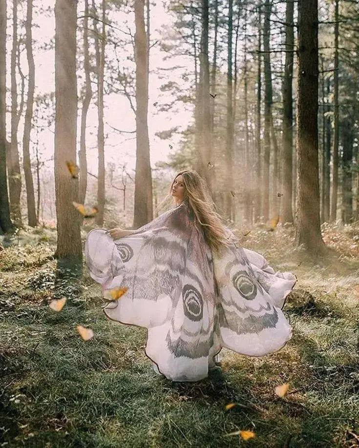 Nachtvlinder Cape Grey Moth – Elegante Vleugelomhang voor Creatieve Momenten | Sansoti