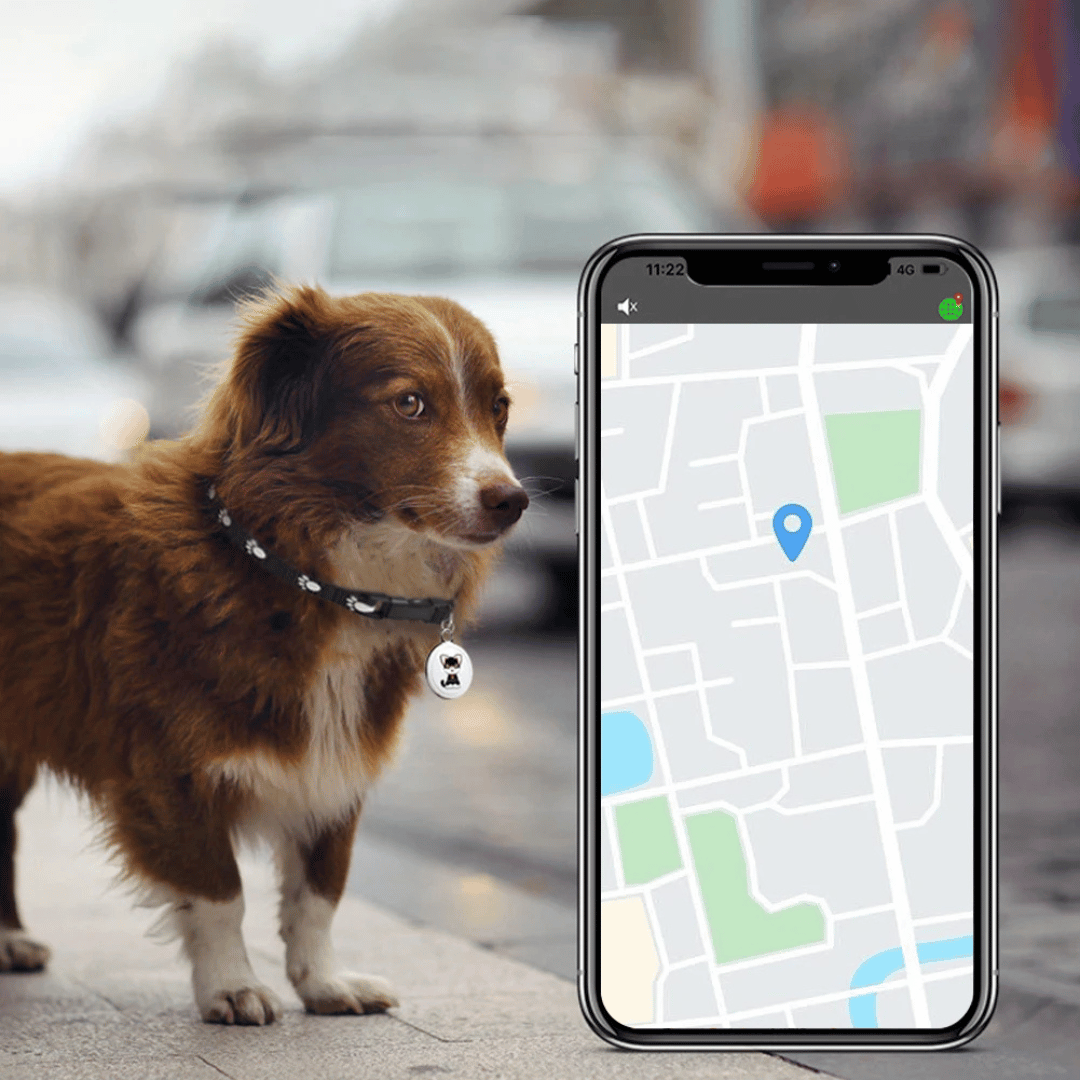 Bluetooth Huisdierentracker met GPS Locatie Compact Waterdicht voor Katten Honden | Sansoti